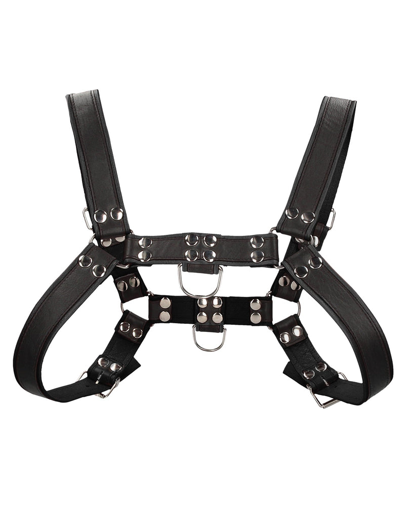 Shots Uomo Chest Bulldog Harness Small/Medium - Black - SHTUOM015BLKSM-7423522436479-Plezzure-Fetish Wear